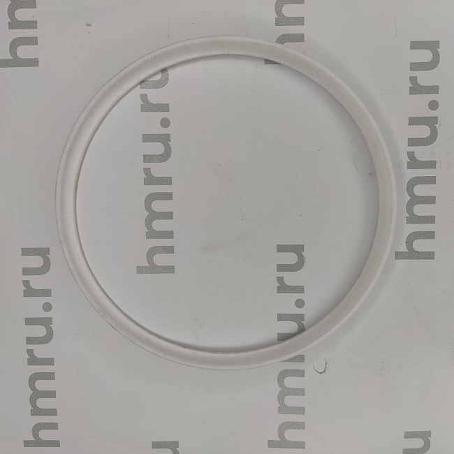 Уплотнительное кольцо PTFE на дозирующий поршень для PPF/LPF-5000 Hualian - Купить с доставкой по всей России