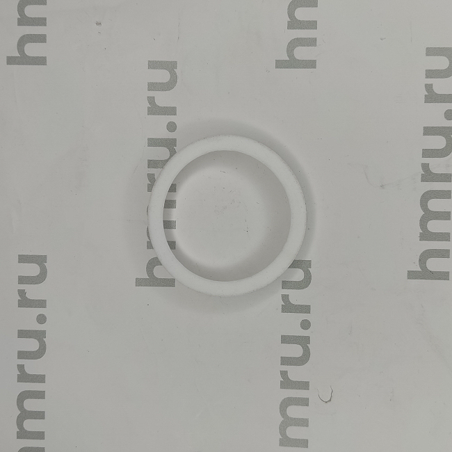 Уплотнительное кольцо PTFE на дозирующий поршень для LPF/PPF-1000 Hualian - Купить с доставкой по всей России