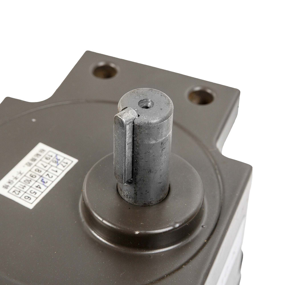 Мотор-редуктор для BSF-5545LE (5RK120GU-UF-T/5GS10-K) Hualian - Купить с доставкой по всей России - 2
