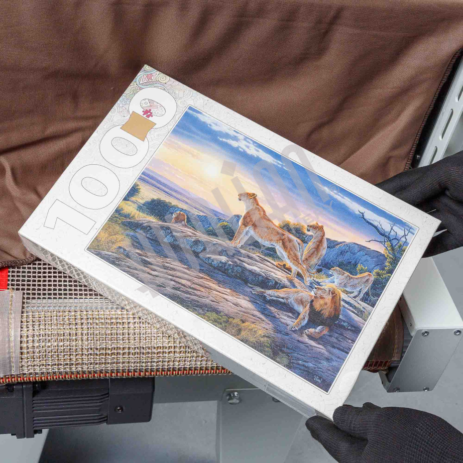 cdba3757-9a54-11ea-8dc4-ac1f6b1e022e_587a4f82-16ad-11f0-b13c-000c29e59c0e