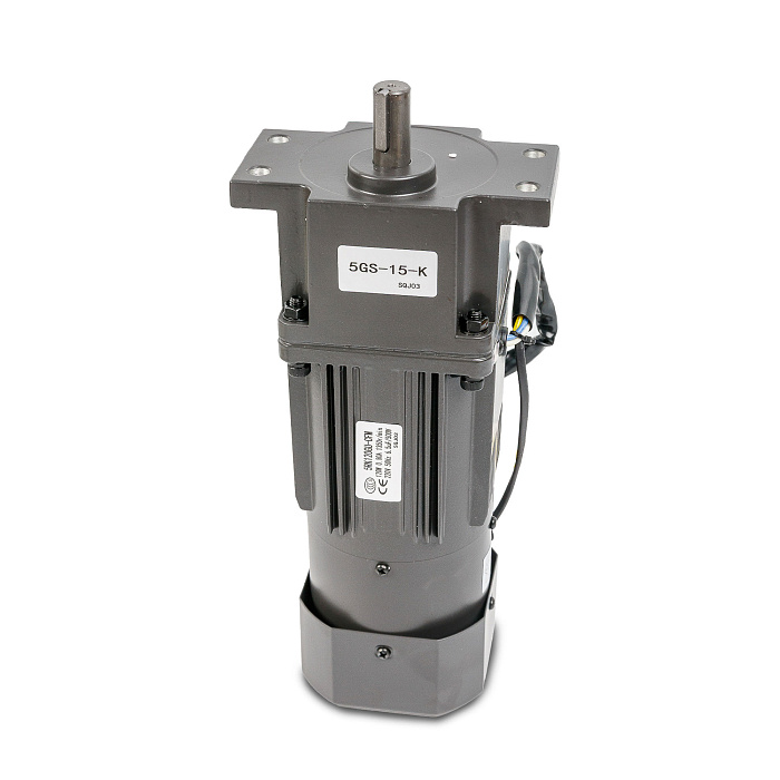 Мотор-редуктор 5RK120GU-CFM/5GS15K для BSF-5640LG-E Hualian - Купить с доставкой по всей России