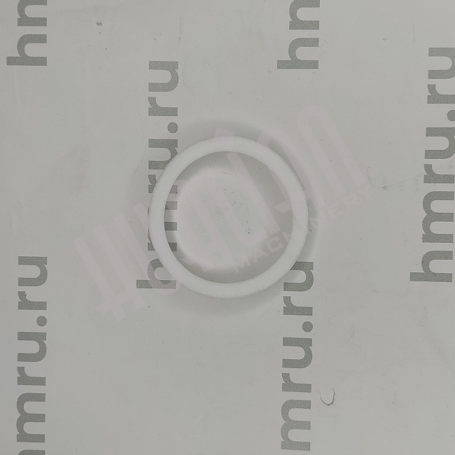 Уплотнительное кольцо PTFE на дозирующий поршень для LPF/PPF-1000 Hualian - Купить с доставкой по всей Беларуси
