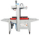 Заклейщик коробов FXJ-5050QS Hualian - Купить с доставкой по всей России - 3