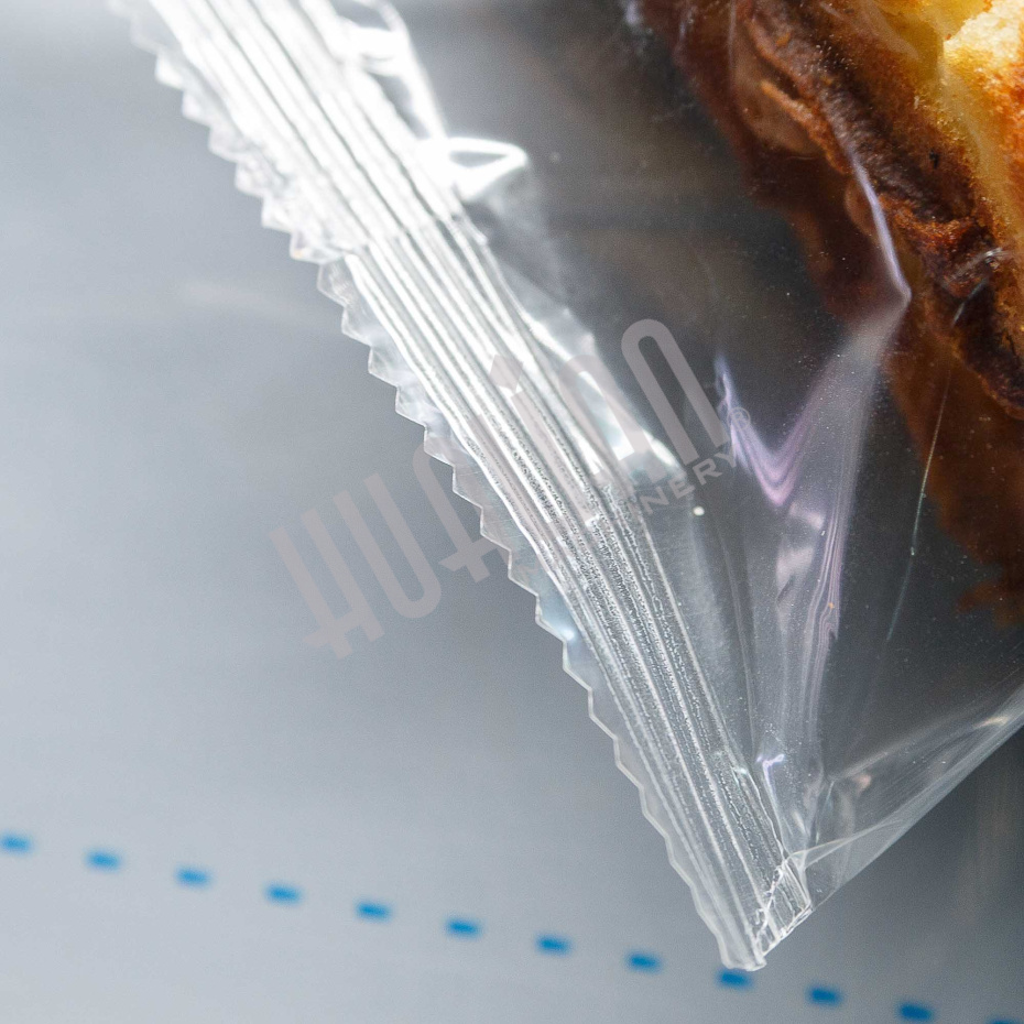 Горизонтальная упаковочная машина DXDZ-250XD (лент. 60 мм, рег. форм., S 250, L 120-280, H 60) Hualian - Купить с доставкой по всей Беларуси