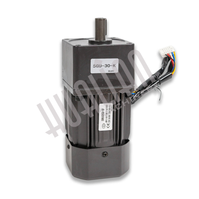 Мотор-редуктор 5RK60RGN-CF привода BS-4525L Hualian - Купить с доставкой по всей Беларуси