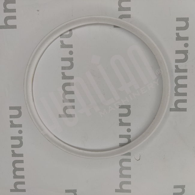 Уплотнительное кольцо PTFE на дозирующий поршень для PPF/LPF-5000 Hualian - Купить с доставкой по всей Беларуси