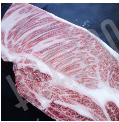 Инъектор ZSF-88 Hualian - Купить с доставкой по всей Беларуси